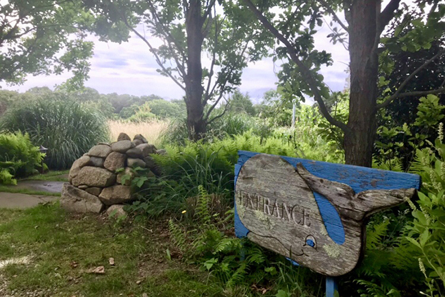 Blueberry Hill—Douglass and Caroline Ellis